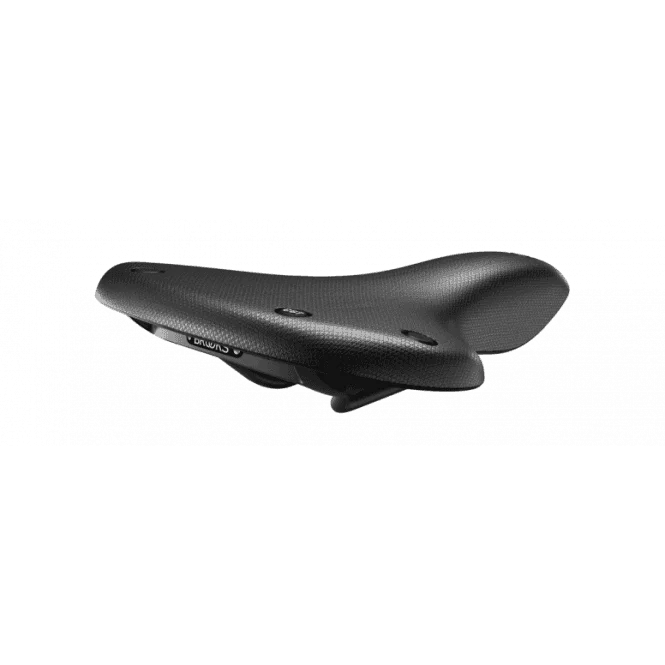tritoncycles-415612